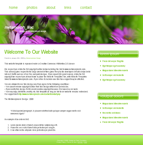free web template - lilac
