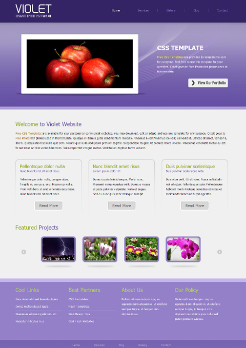 free web template - violet