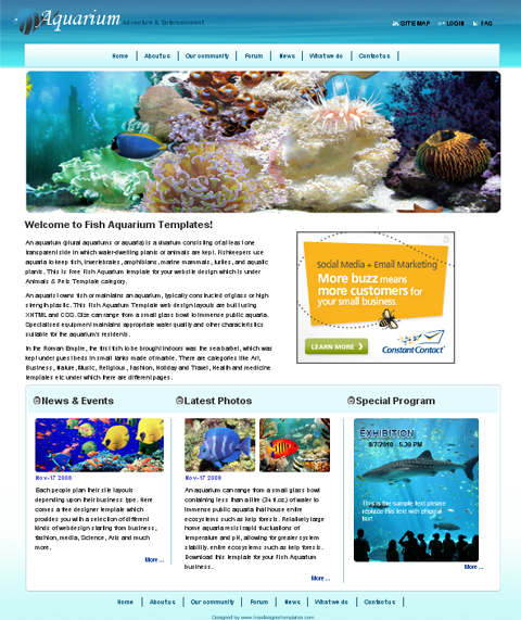 free web template - aquarium