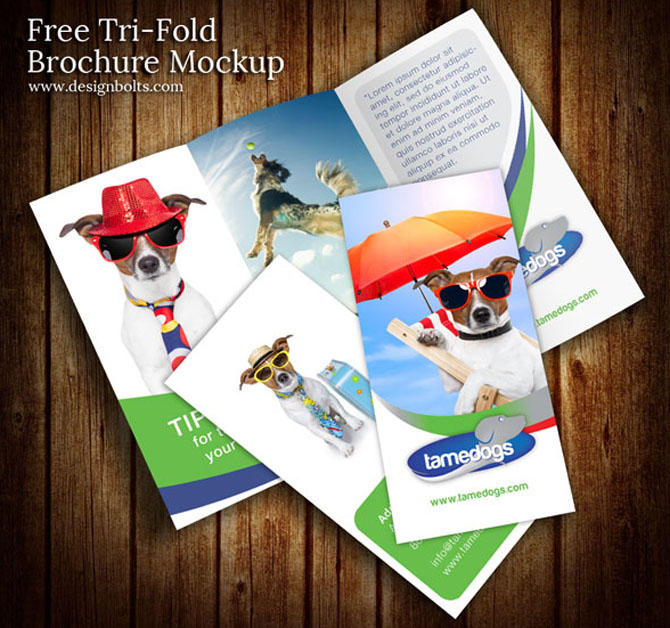 free brochure PSD templates