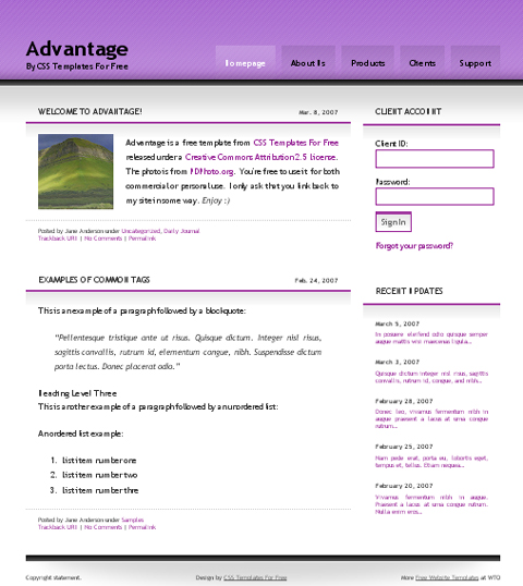 free web template - Advantage