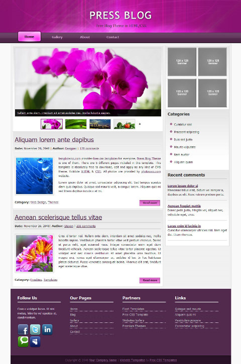 free web template - press blog