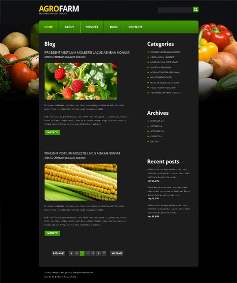 free website template