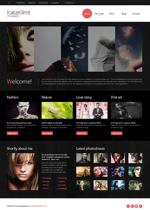 free website template