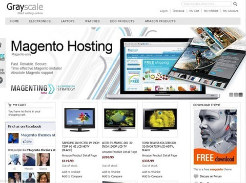 Free Magento Theme