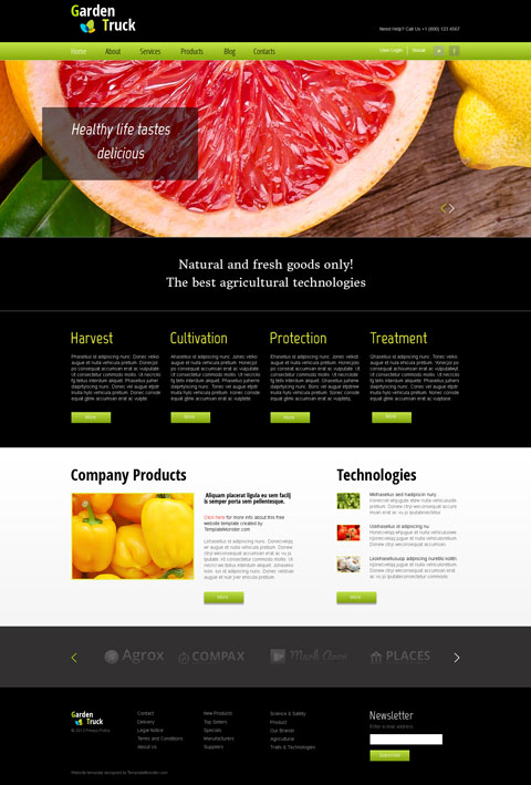 free website template