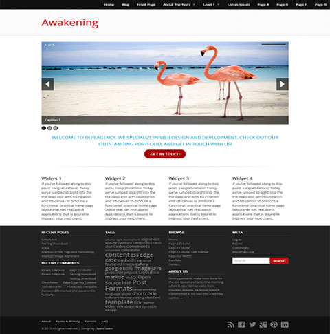 Free-WordPress-Theme