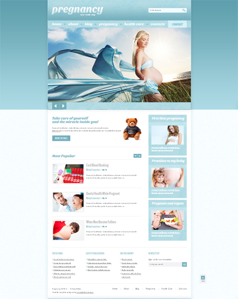 Free-WordPress-Theme