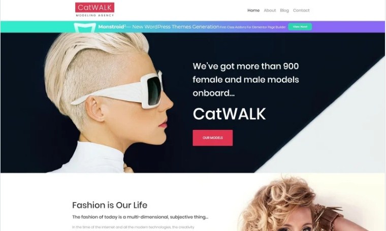 Catwalk - Free WP template