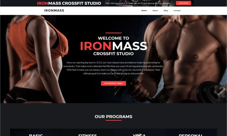 IronMass - Elementor WordPress Theme