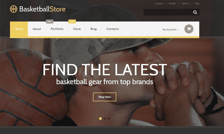 Basketball - Free WooCommerce Themes