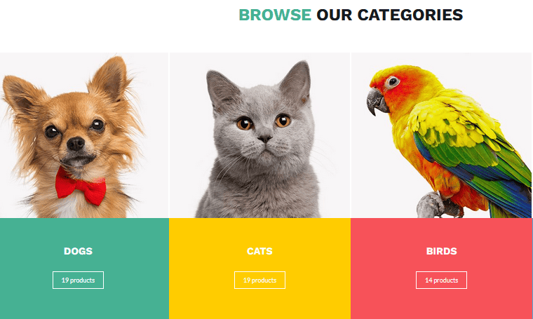PetStore WordPress eCommerce Theme