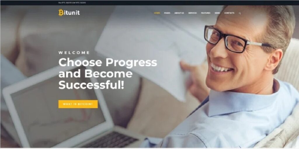 Business WordPress Themes