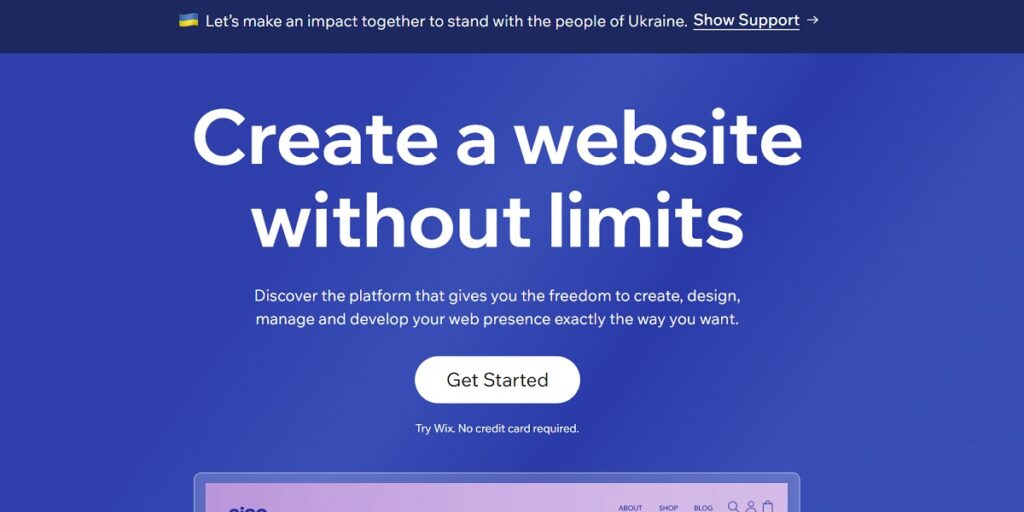 Online Website Creators