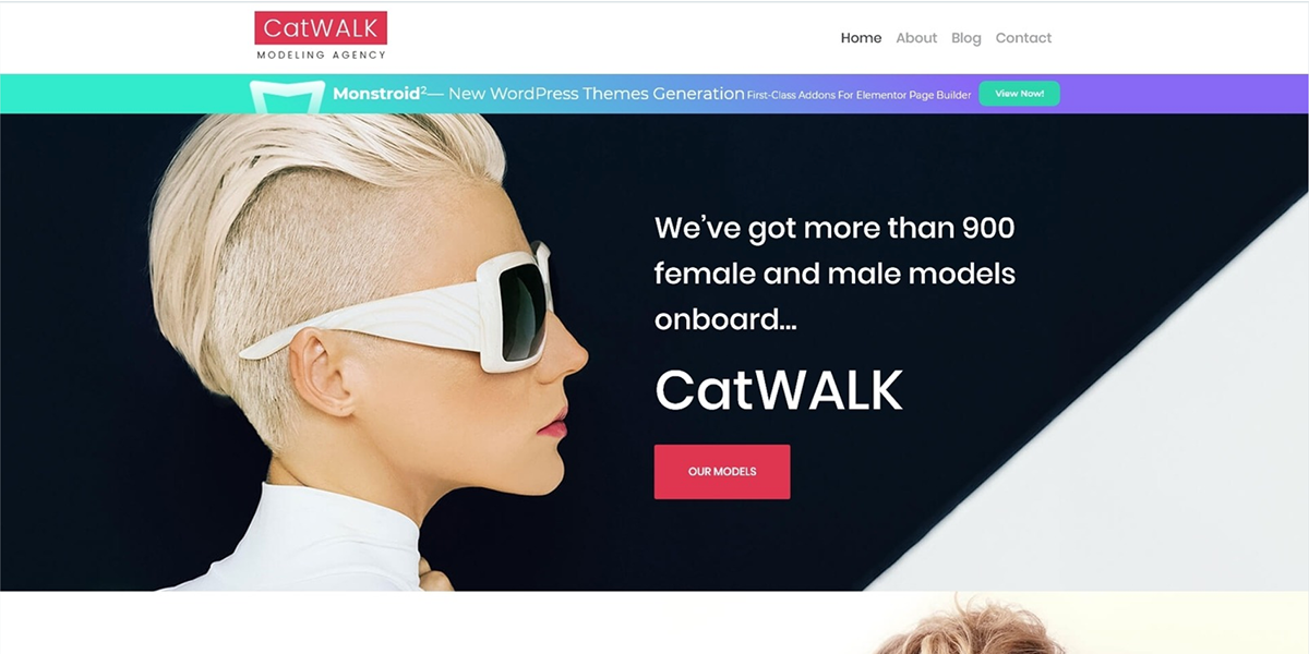 Free Templates to Build Modeling Websites