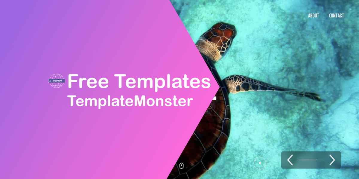 Free Portfolio Templates 2023 from TemplateMonster