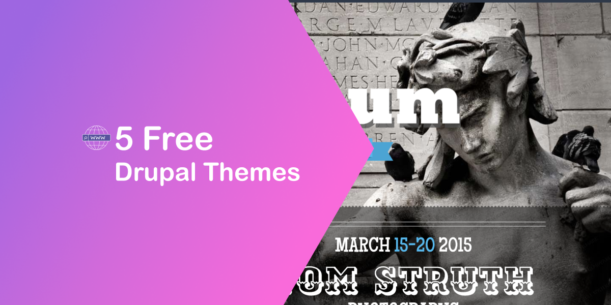 Top 5 Best Free Drupal Themes